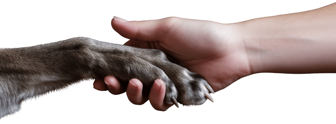 dieren afbeeldingen (12)