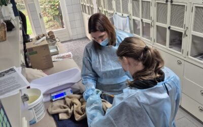 Wat te doen bij een olieramp