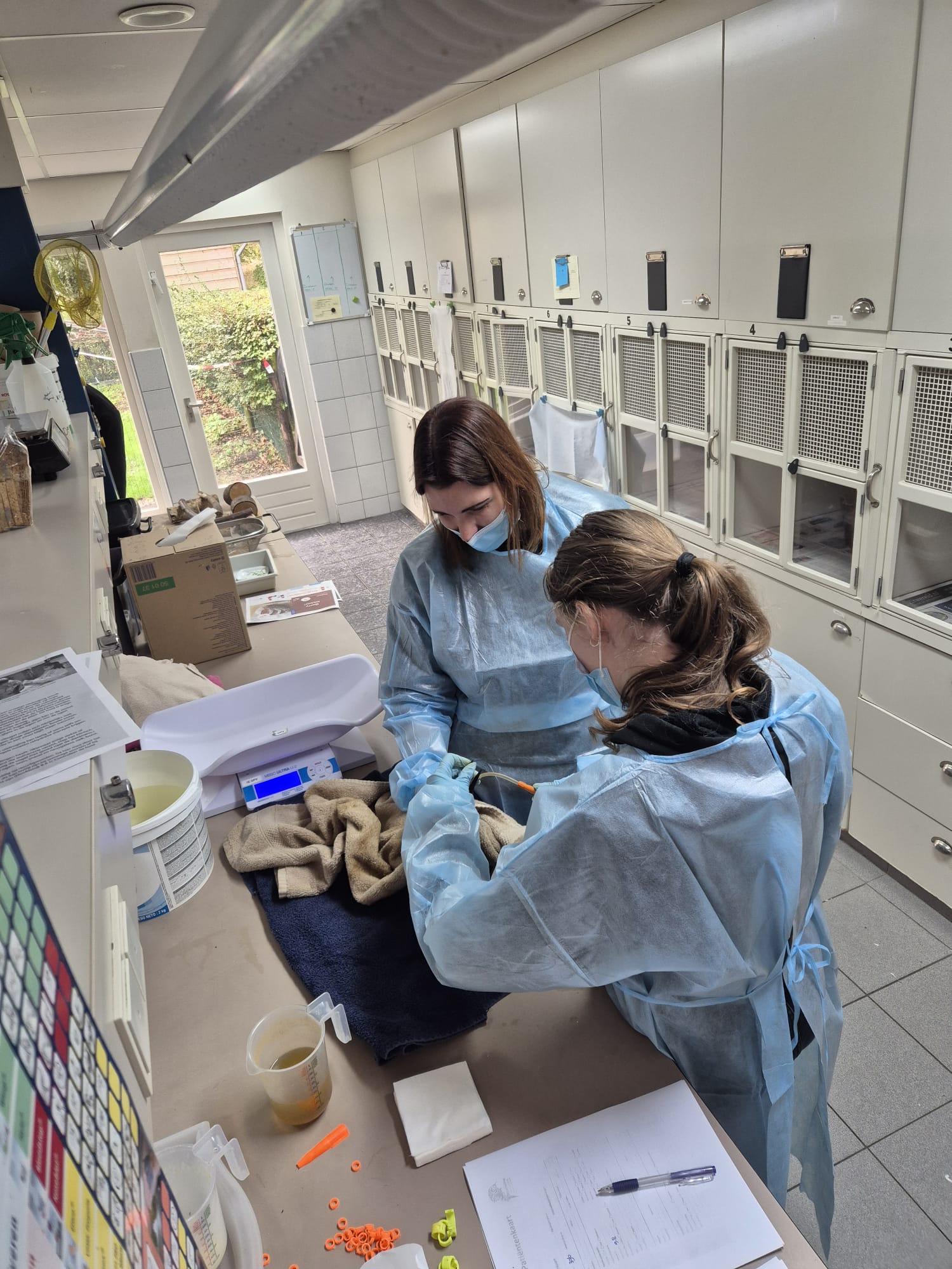 WhatsApp Image 2025-10-29 at 12.18.40